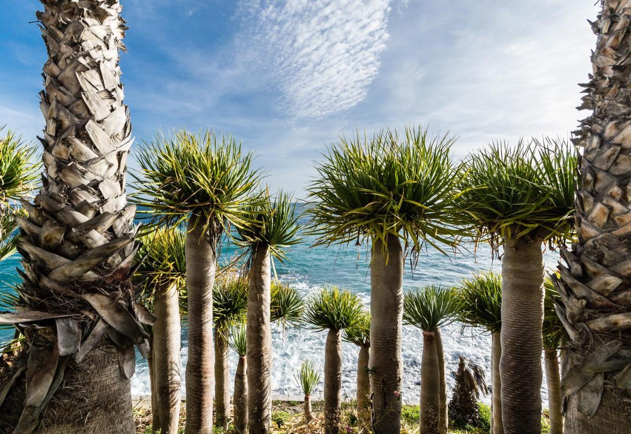 Hostal Tropical Almuñécar Zewnętrze zdjęcie