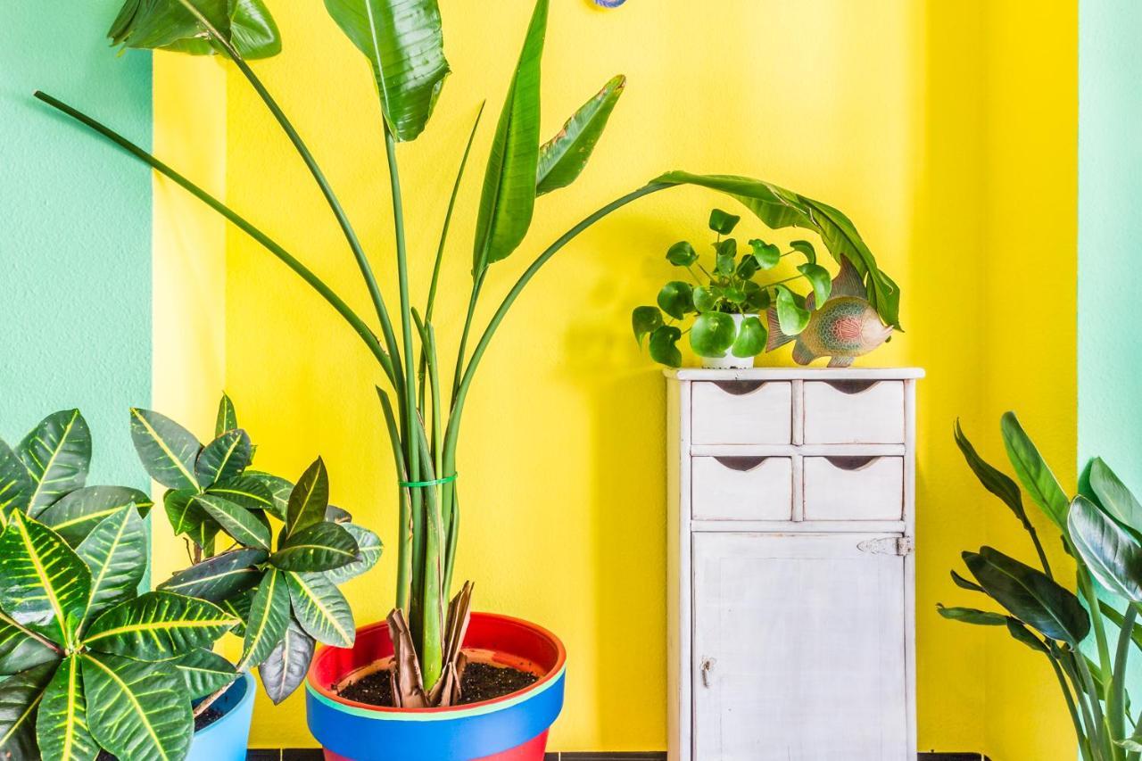 Hostal Tropical Almuñécar Zewnętrze zdjęcie