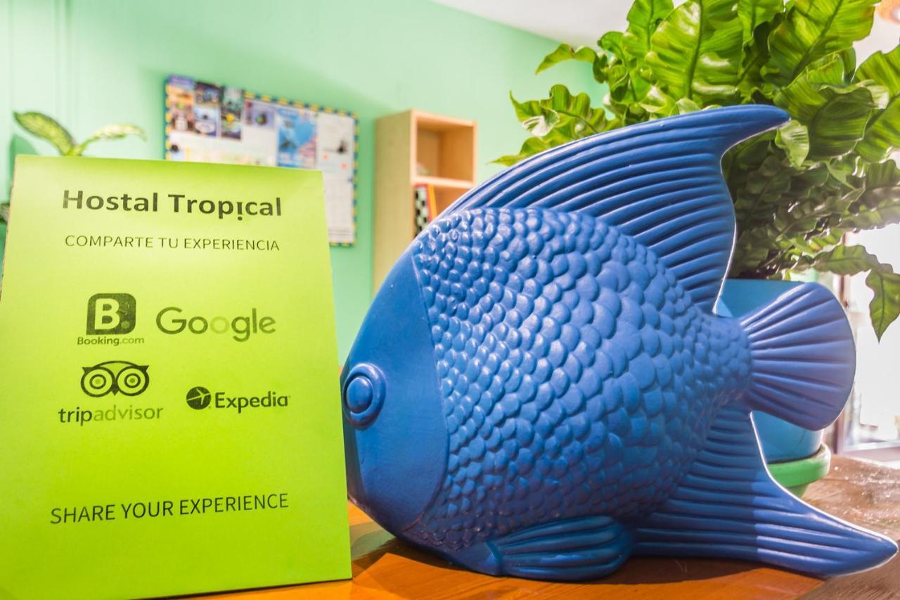 Hostal Tropical Almuñécar Zewnętrze zdjęcie